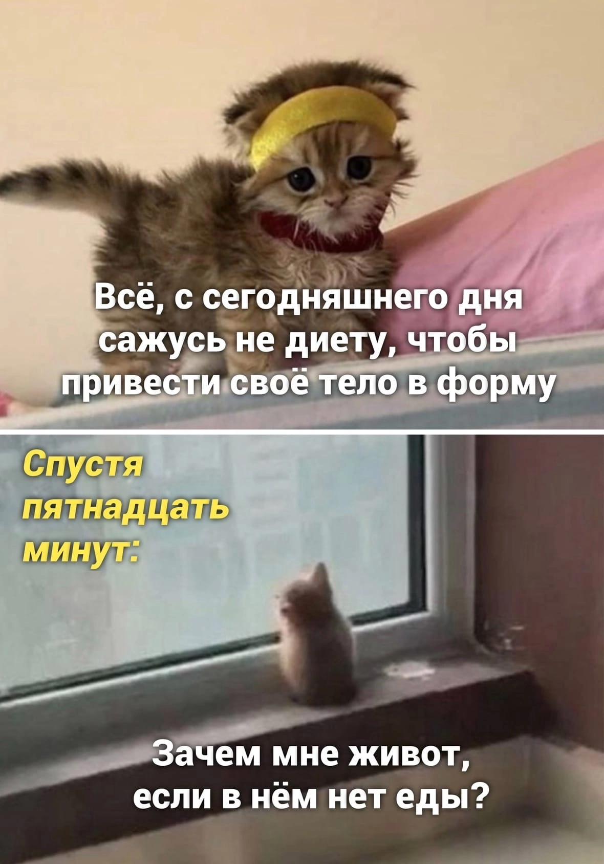 1000010232.png