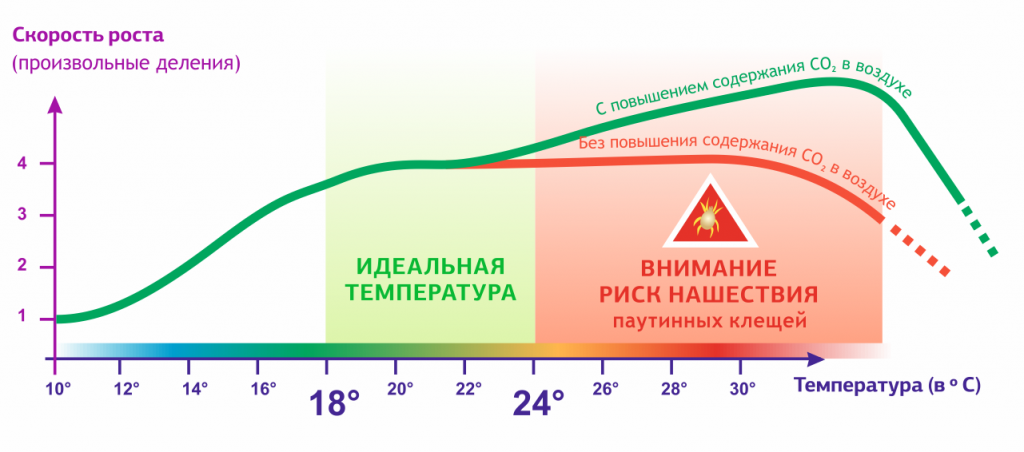ce5ac7598d6352298da31f4d2af7df7e.png