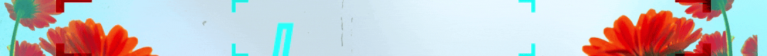Dlink.gif