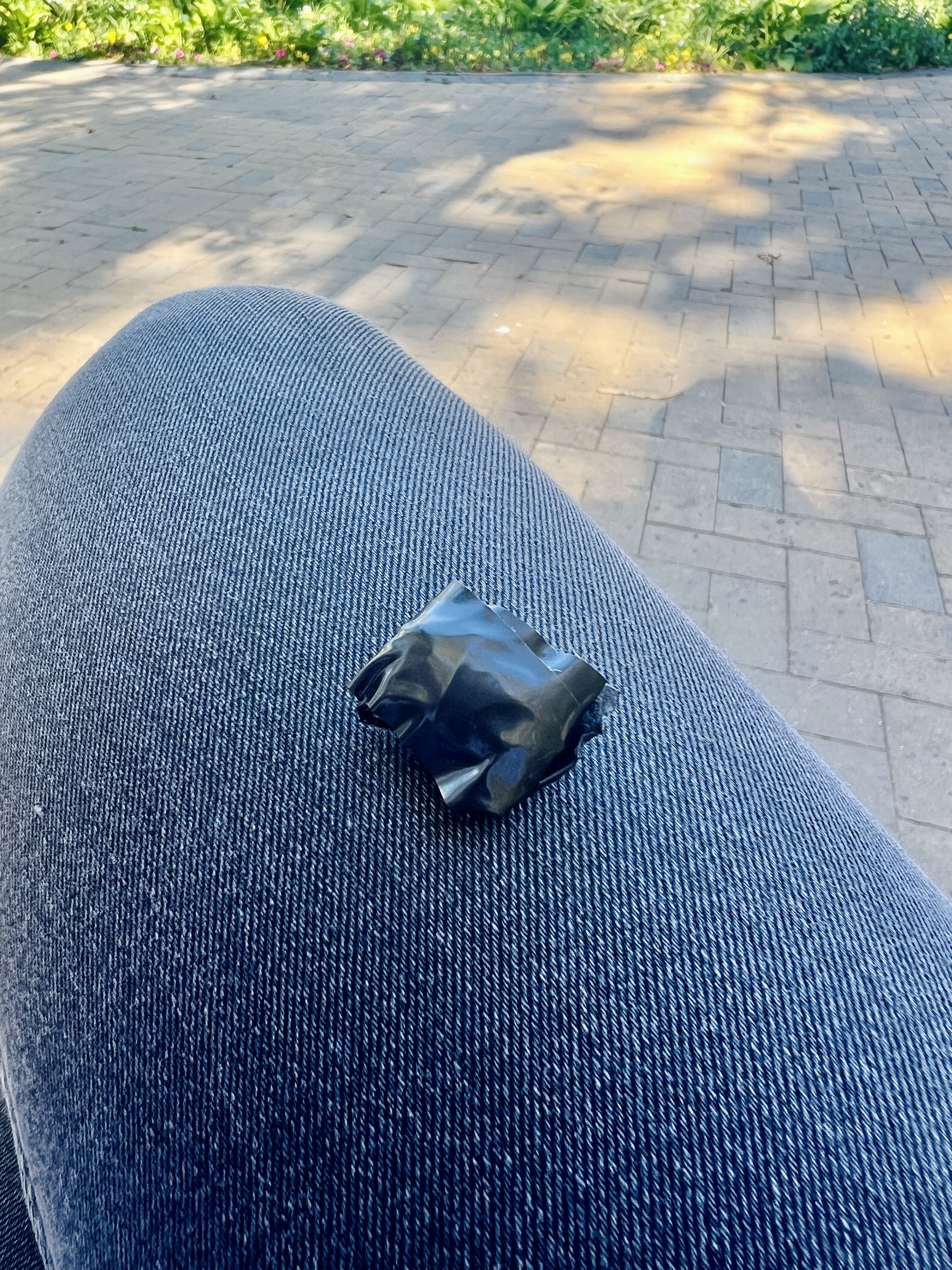 IMG_6171.jpeg