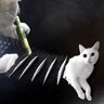 Котик_Наркотик