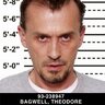 Teodorbagvel