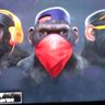 Dark Monkey