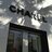 chanelcat